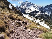 Primavera al Monte Campo, neve al Laghetto di Pietra Quadra -20magg21 - FOTOGALLERY